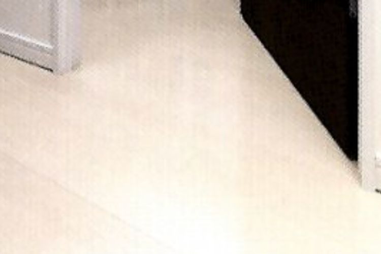 パークスクエア相模大野タワー&レジデンスのフラット設計
